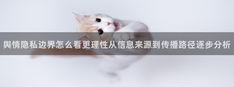 娱乐黑料证据梳理
