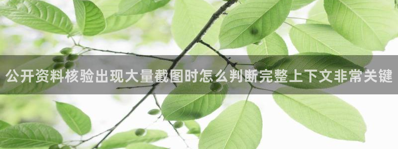 最新黑料事件始末