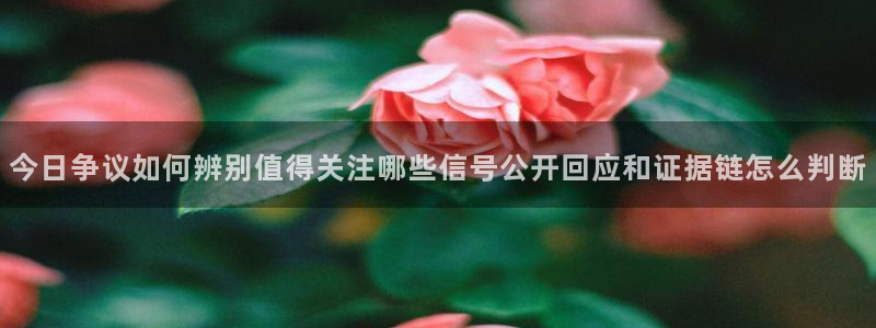 网红黑料今日更新
