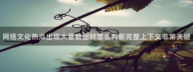 黑料事件真伪核验