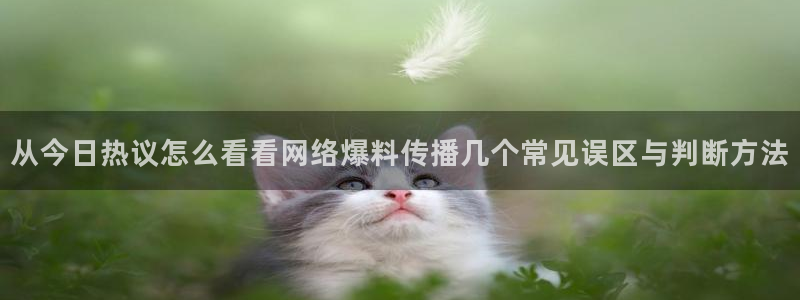 网红黑料今日更新