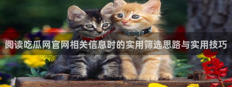 黑料吃瓜证据梳理