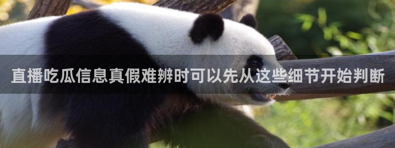 独家黑料真伪核验