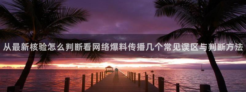 网络黑料信息汇总